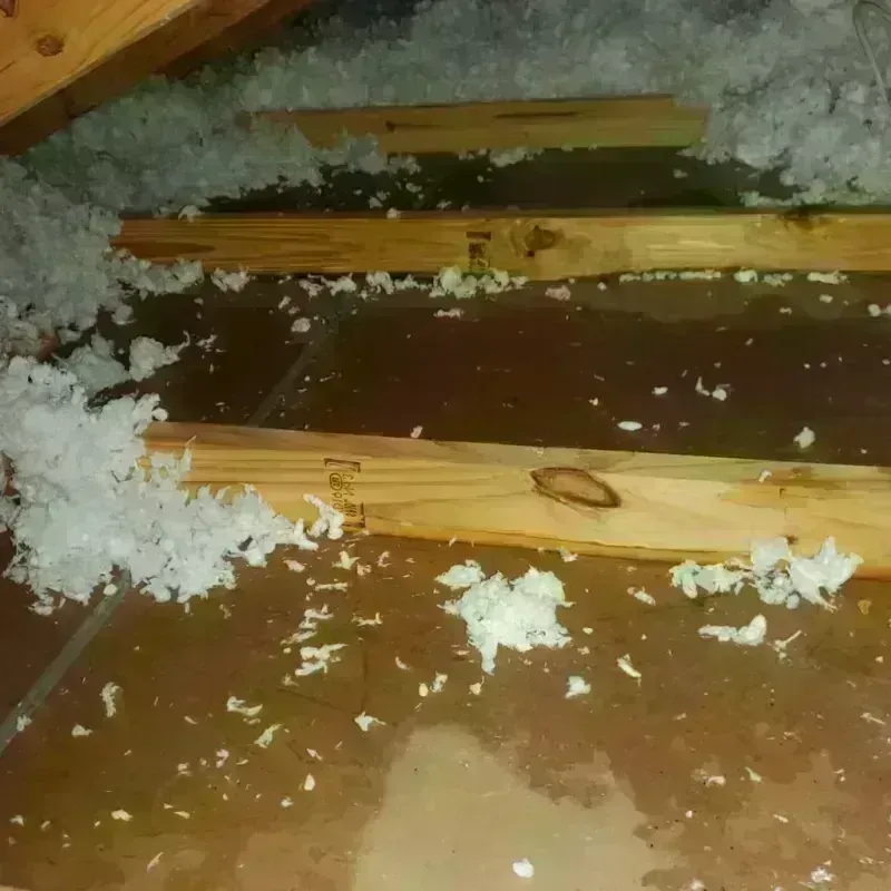 Attic Water Damage in Sealy, TX