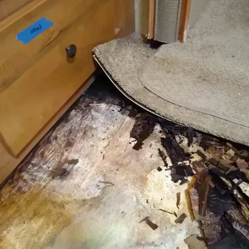 Wood Floor Water Damage in Sealy, TX